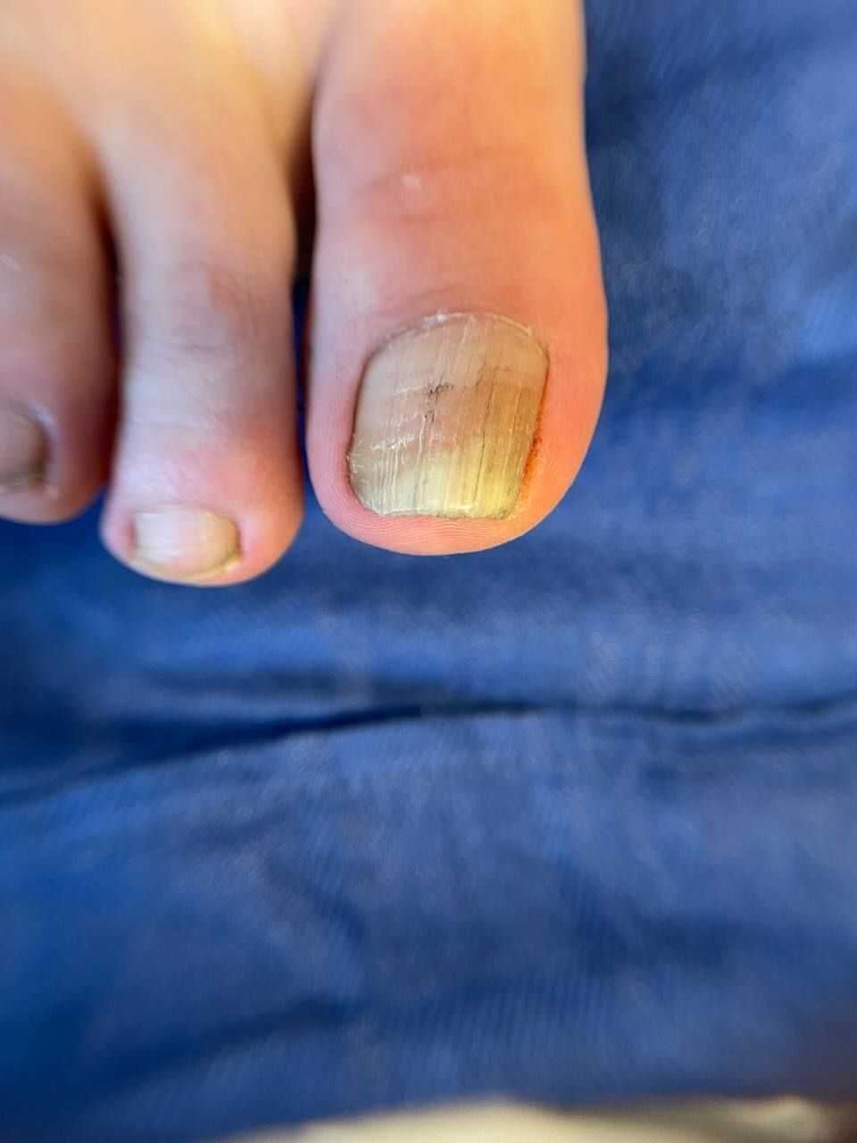 IMG_20241016_173354_800