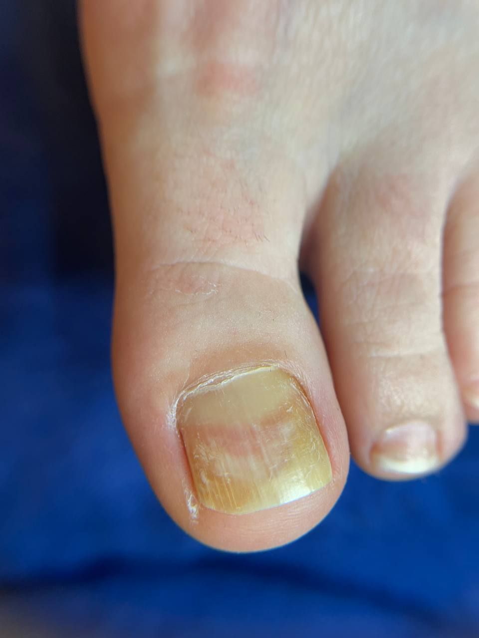 IMG_20241016_173400_456