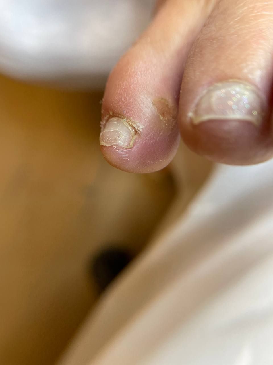 IMG_20241016_173401_229