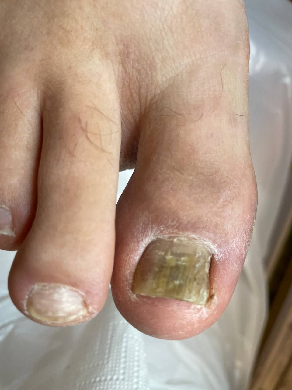 IMG_20241016_173405_845