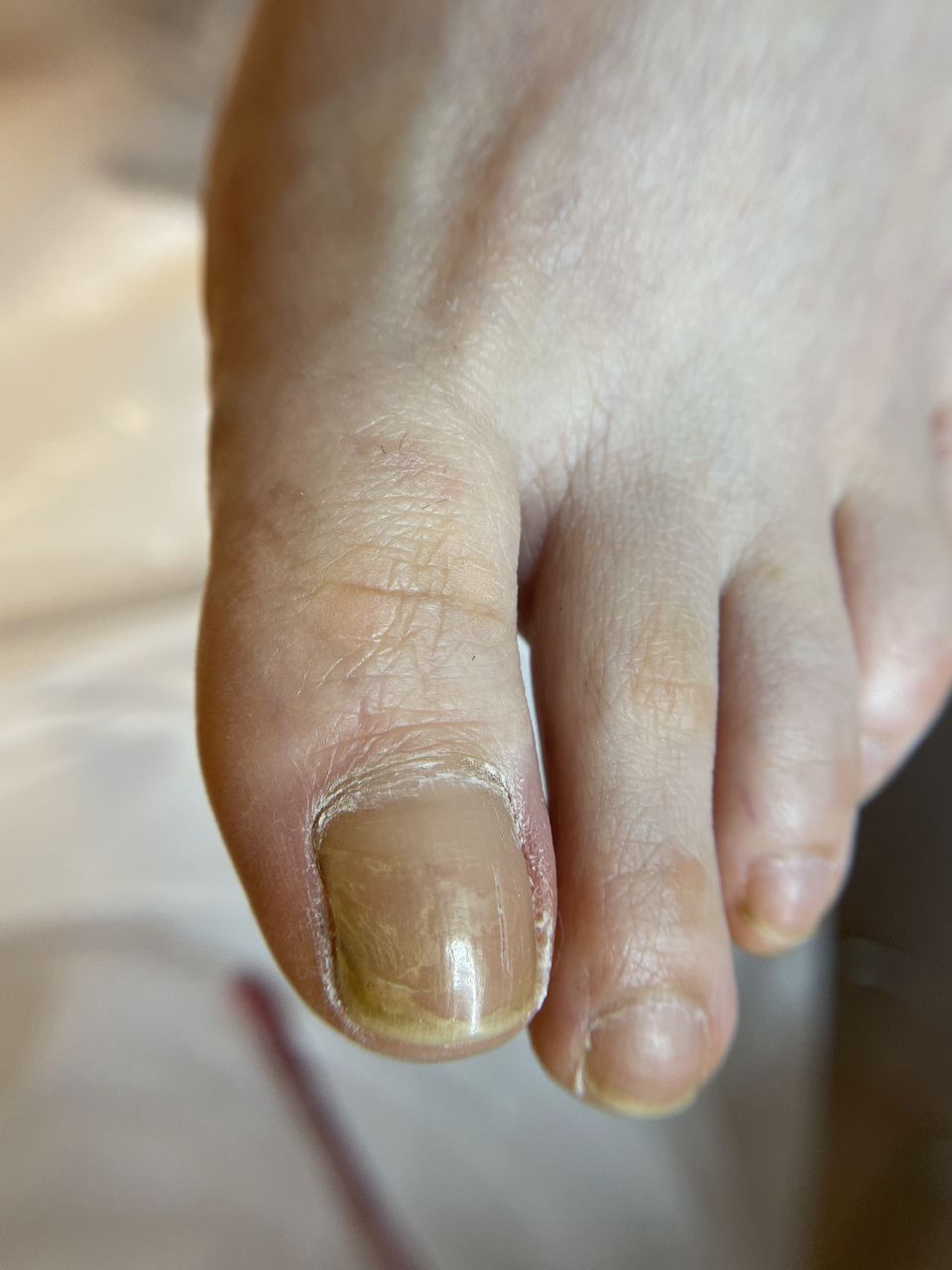 IMG_20241016_173410_937