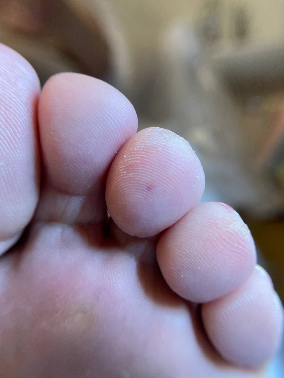 IMG_20241016_173433_731