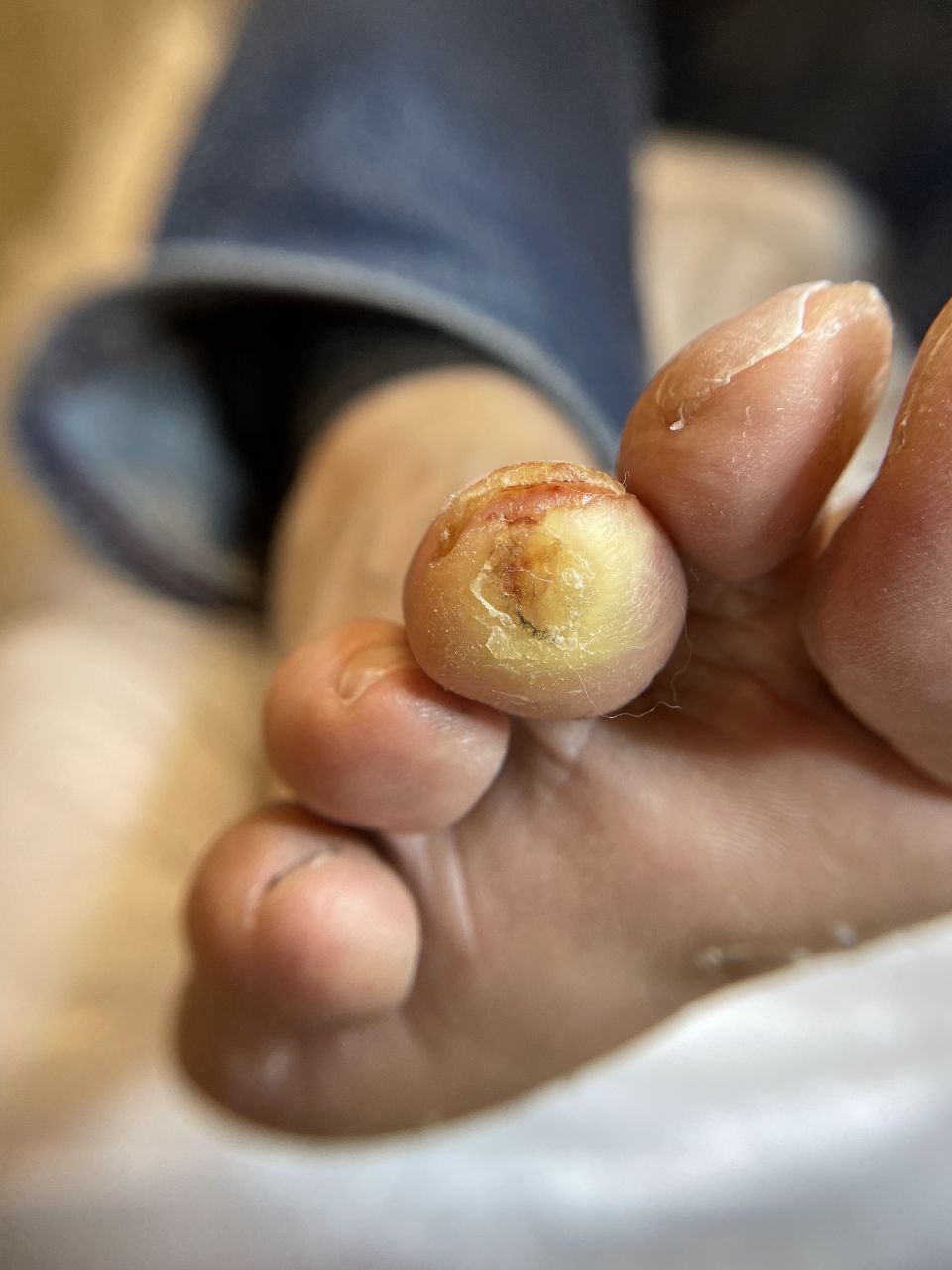 photo_2024-10-05_23-02-45 (4)