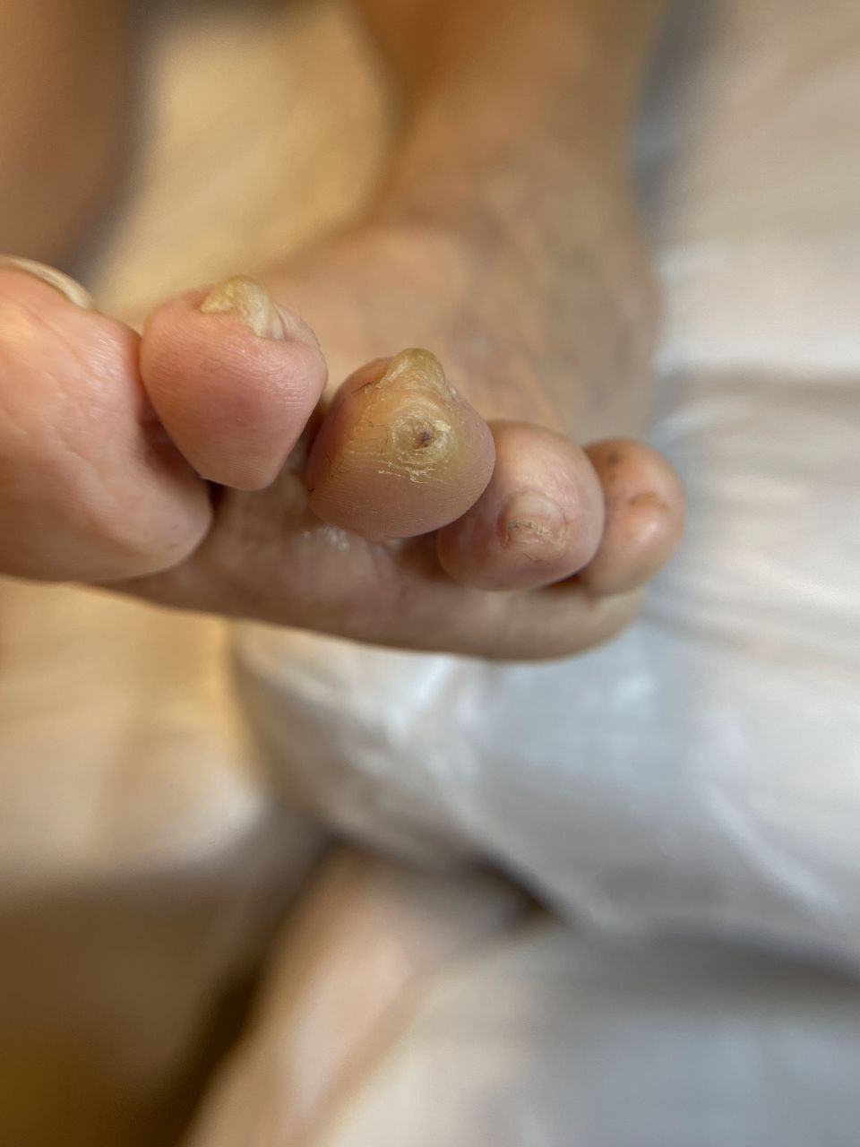 photo_2024-10-05_23-02-45