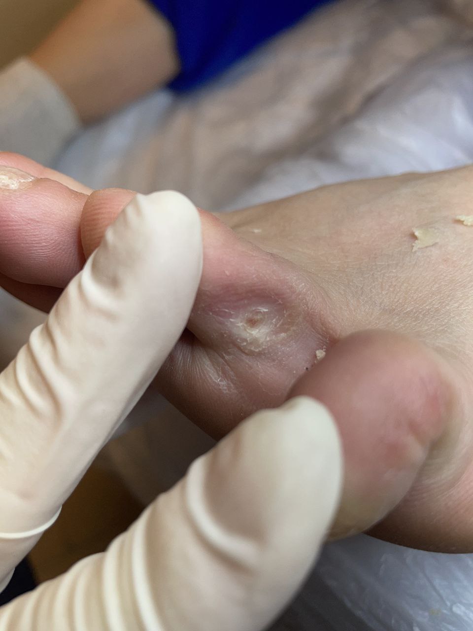 photo_2024-10-16_16-28-34 (3)