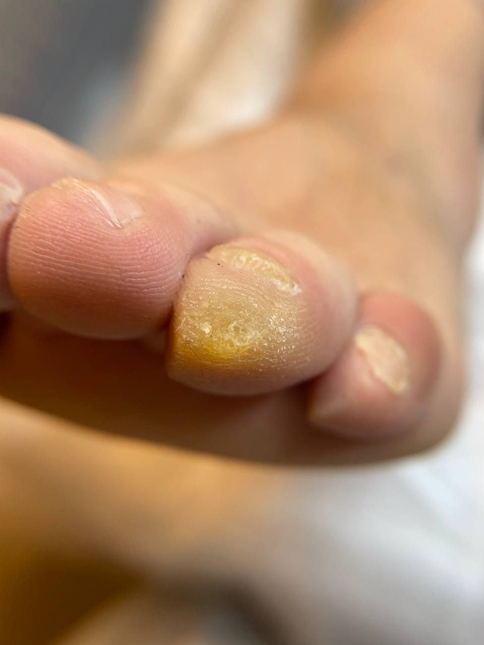 photo_2024-12-16_20-48-41 (2)