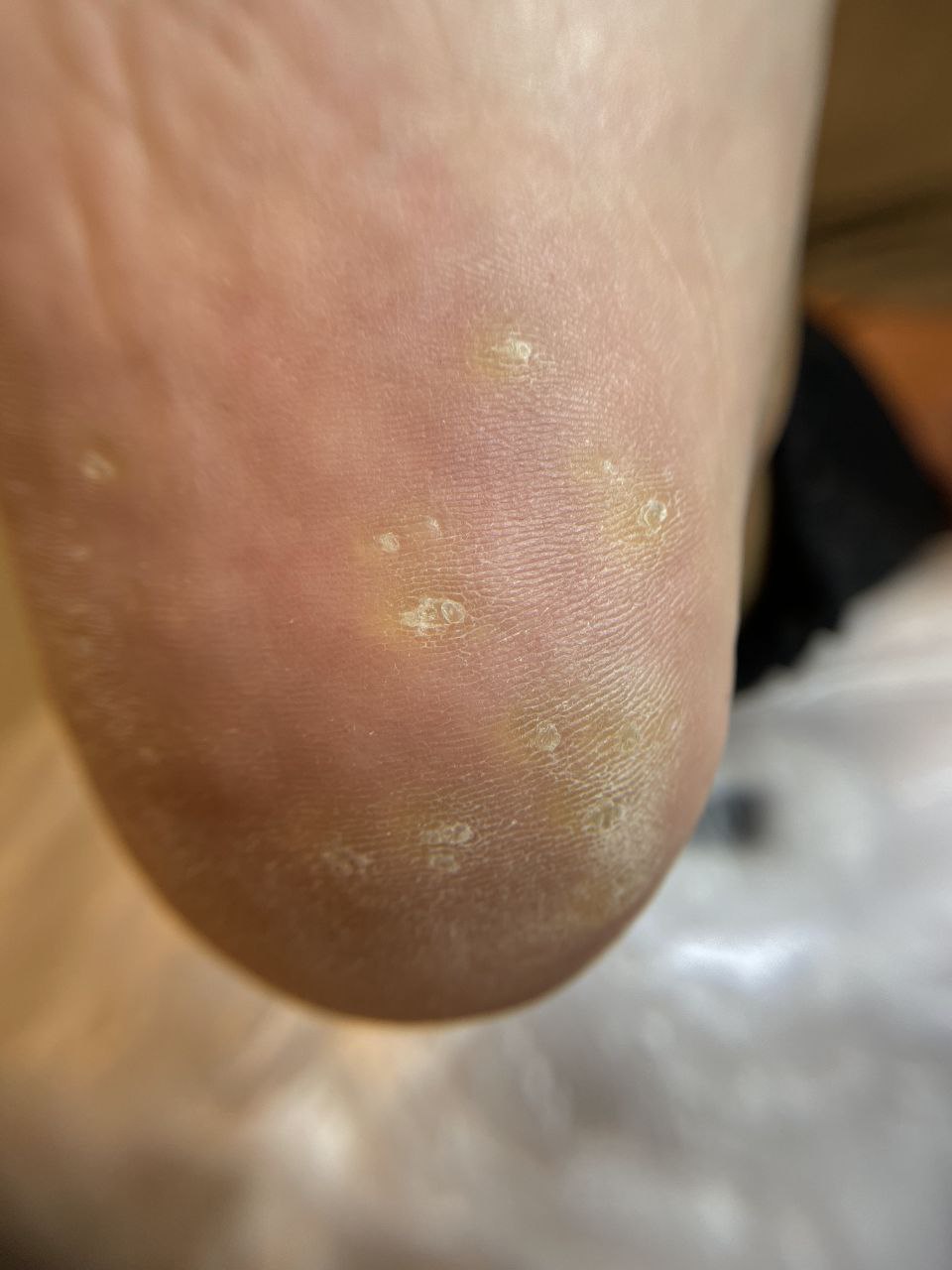 photo_2024-12-16_20-48-41