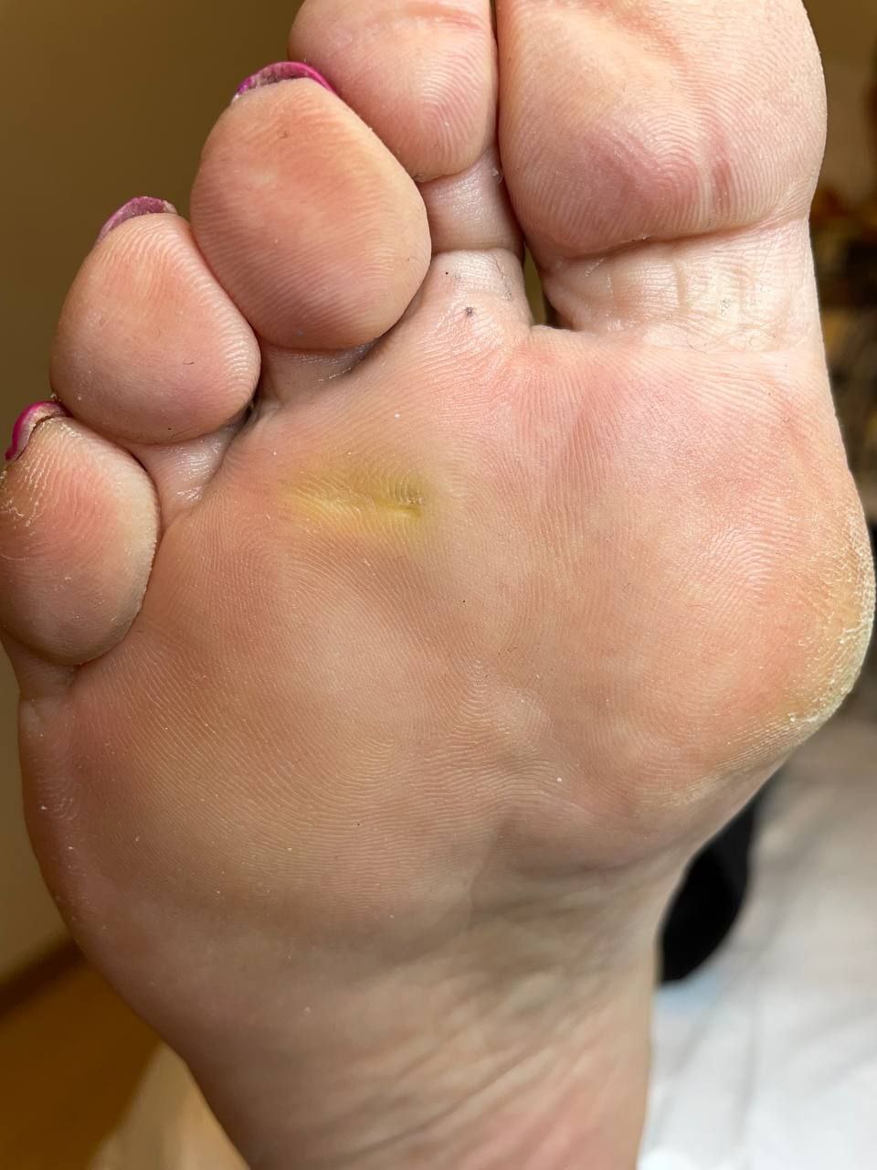 photo_2024-12-16_20-48-42 (4)