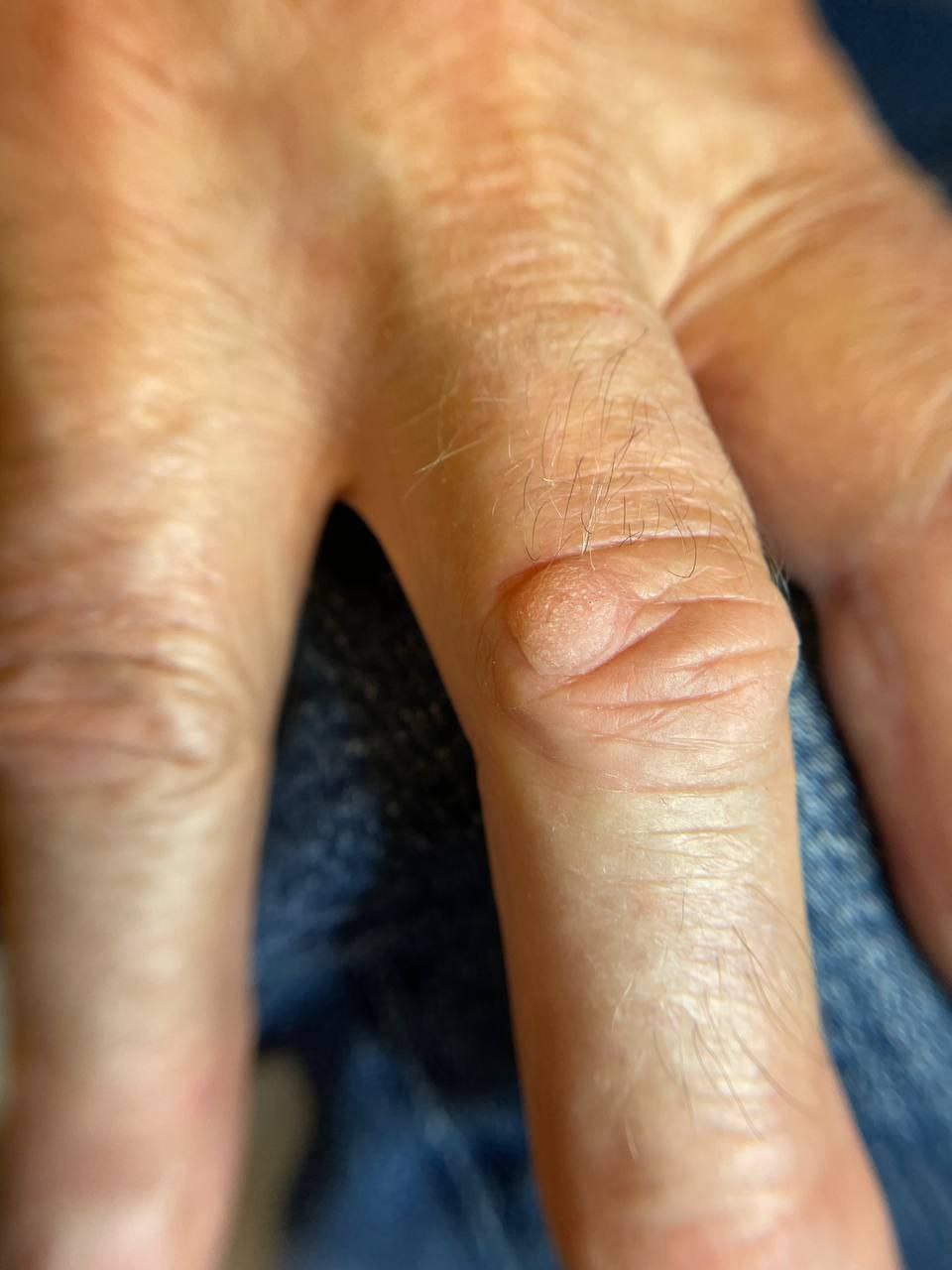 photo_2024-12-16_20-48-43 (5)