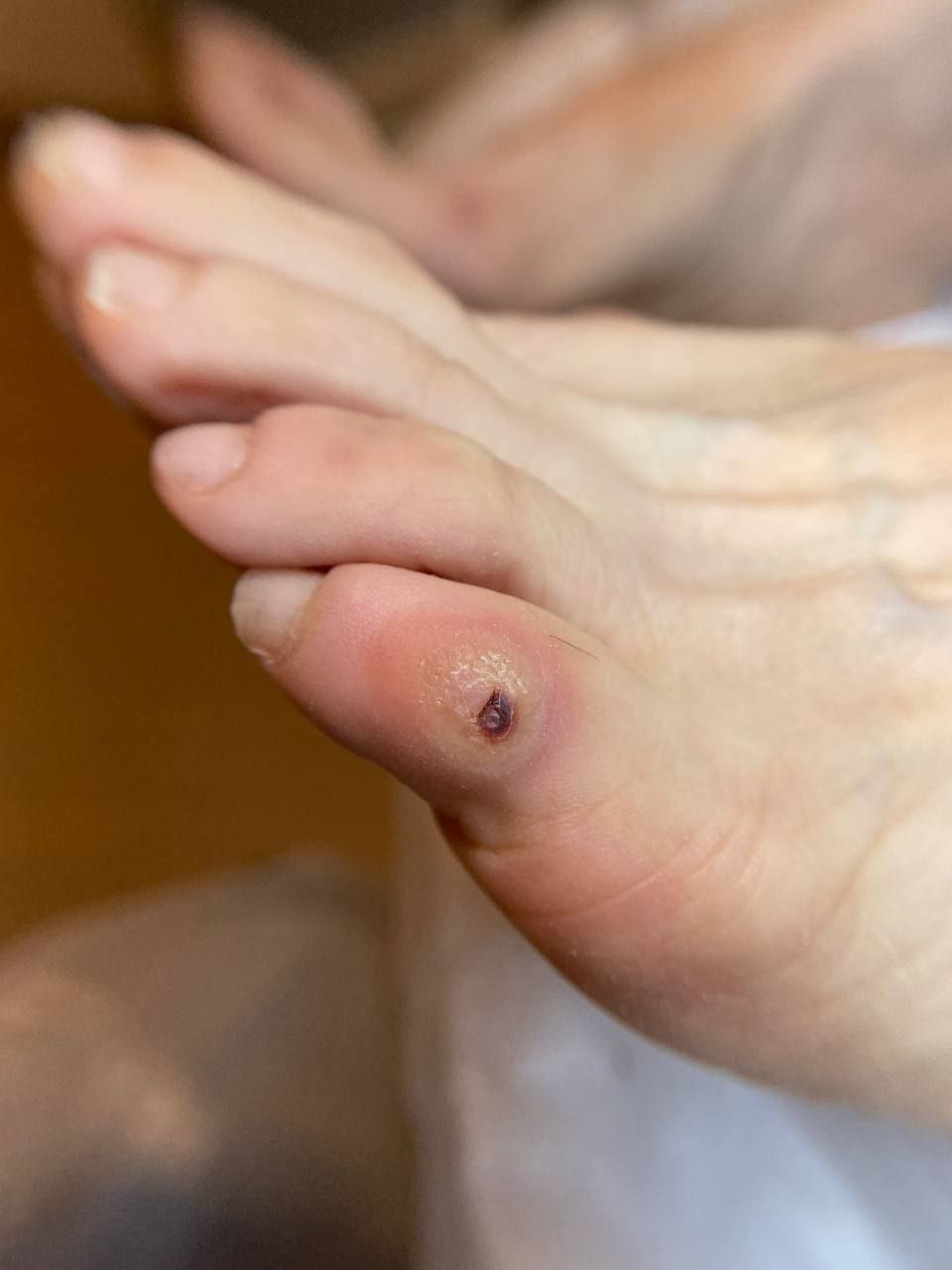 photo_2024-12-16_20-48-43