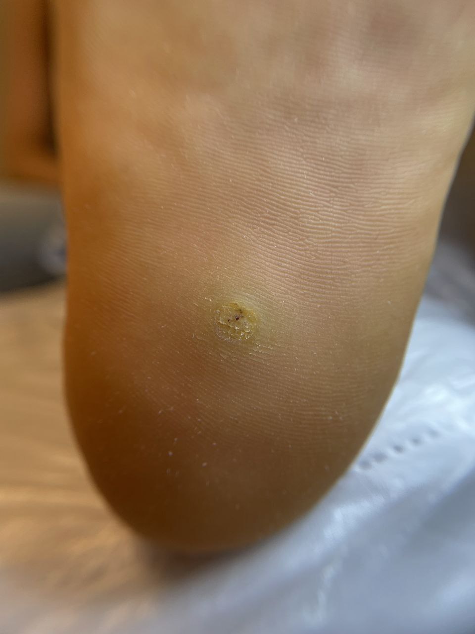 photo_2024-12-16_20-48-44 (2)