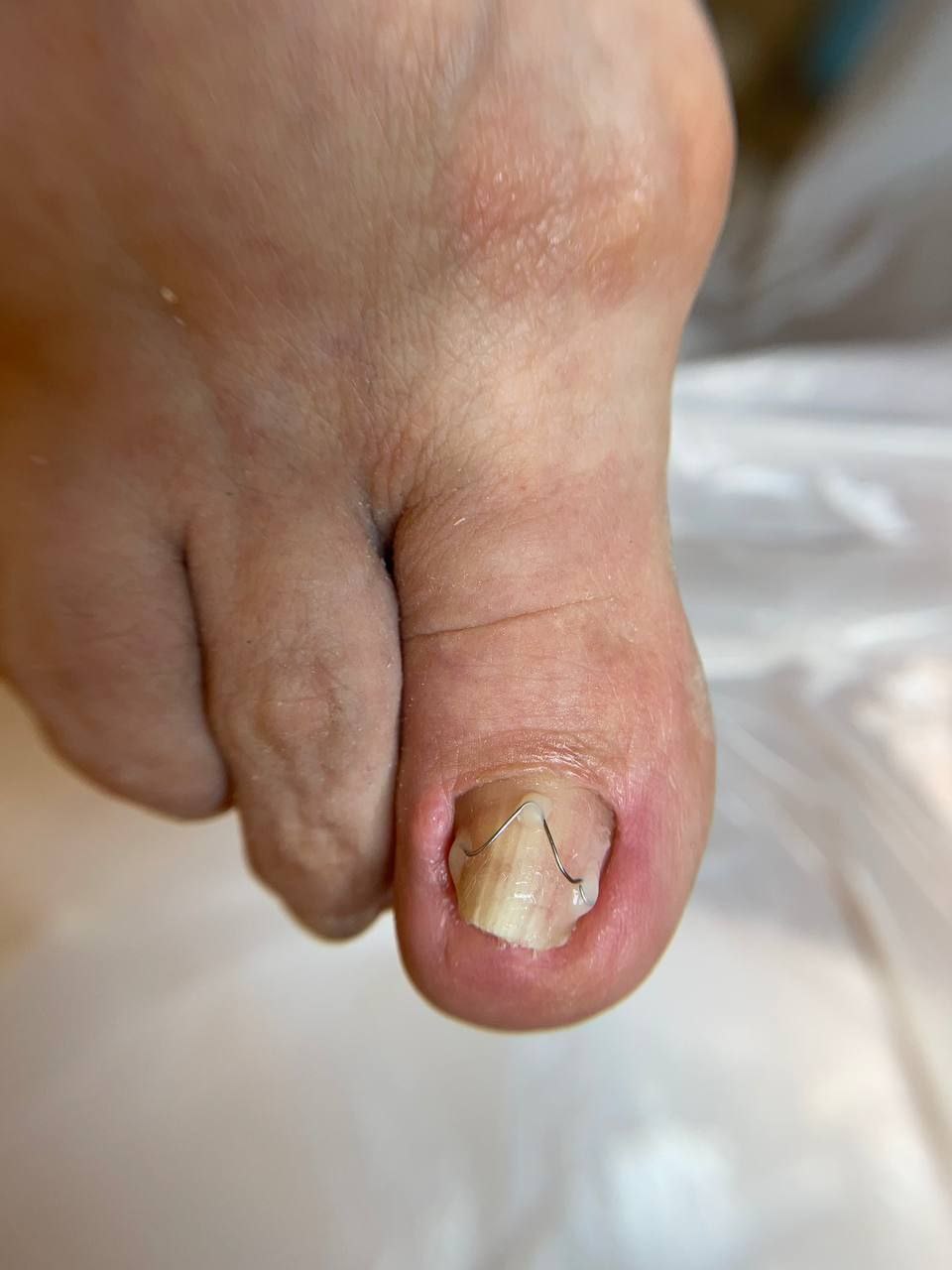 photo_2024-12-16_20-48-44 (4)