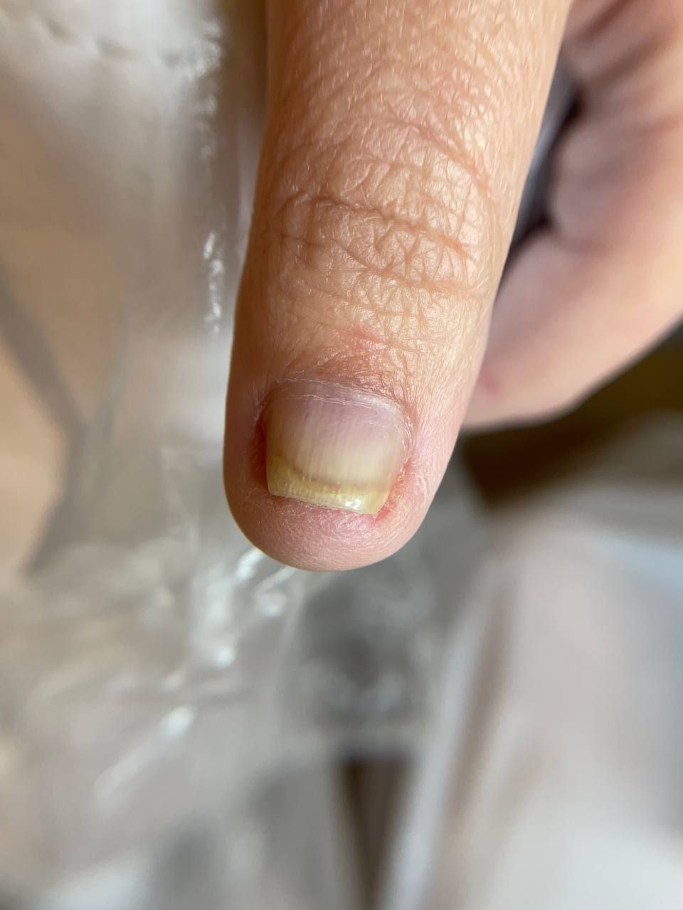 photo_2024-12-16_20-48-44