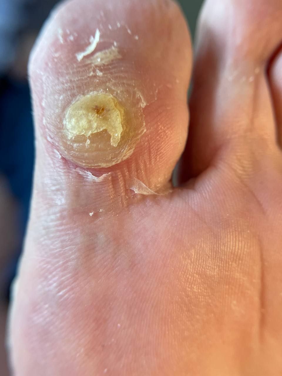 photo_2024-12-16_20-48-45 (8)