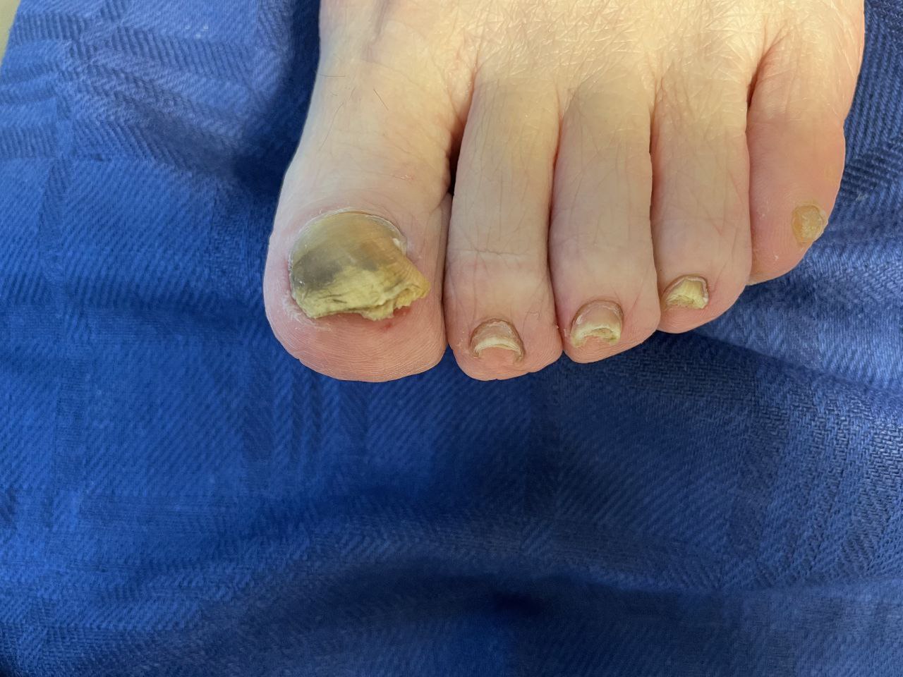 photo_2024-12-16_20-48-45