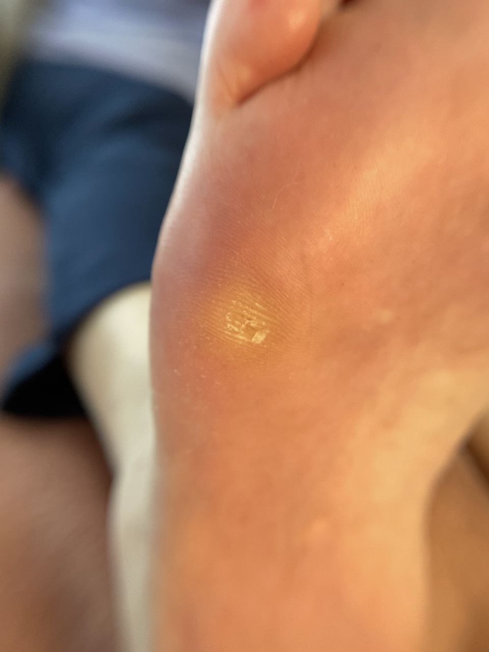 photo_2024-12-16_20-48-46 (2)