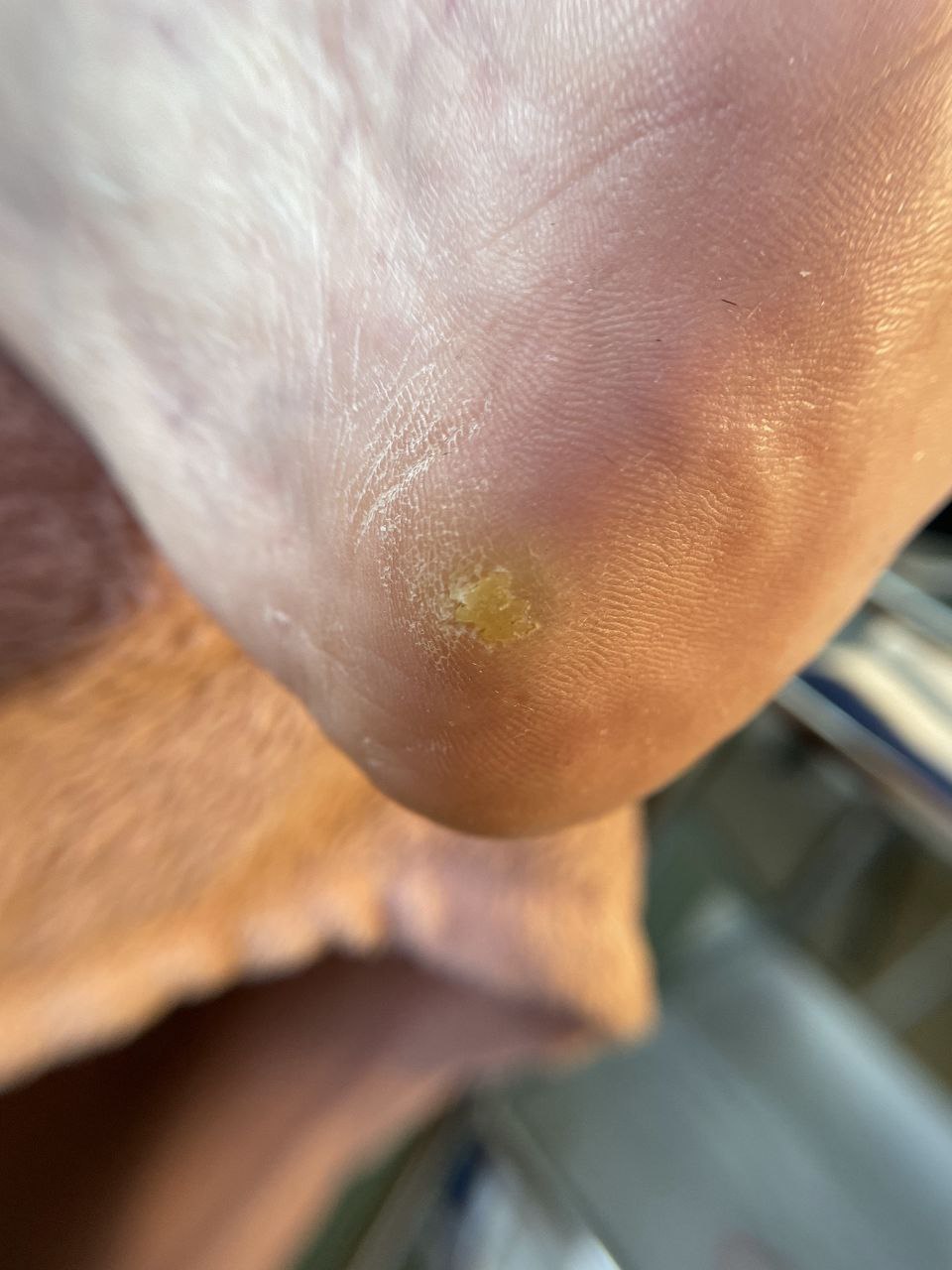 photo_2024-12-16_20-48-46 (4)