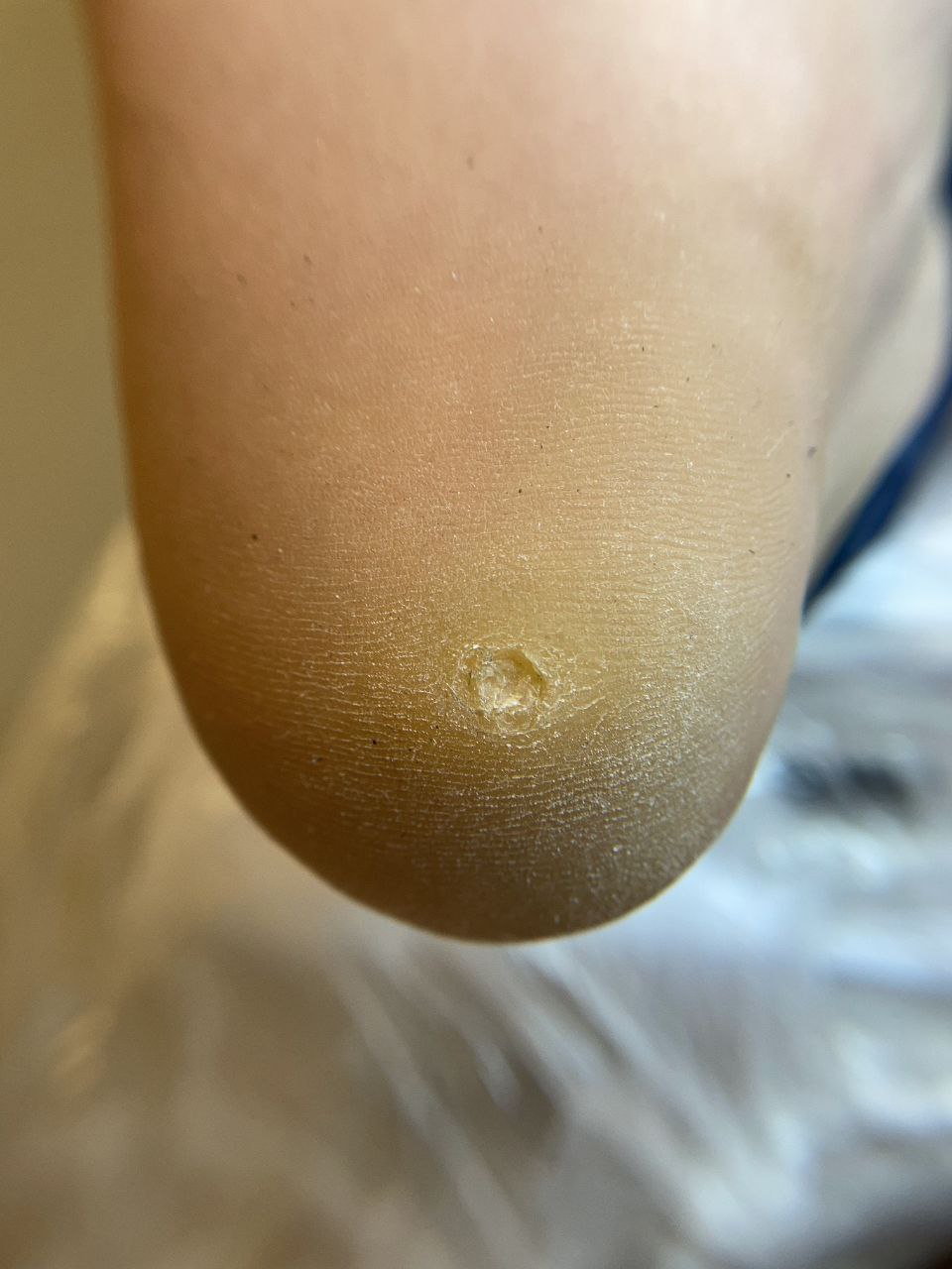 photo_2024-12-16_20-48-46 (8)