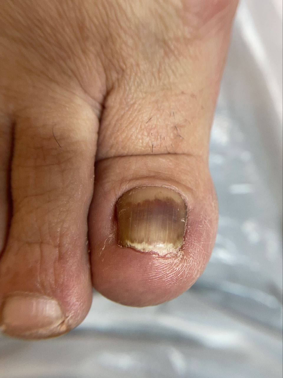 photo_2024-12-16_20-48-46