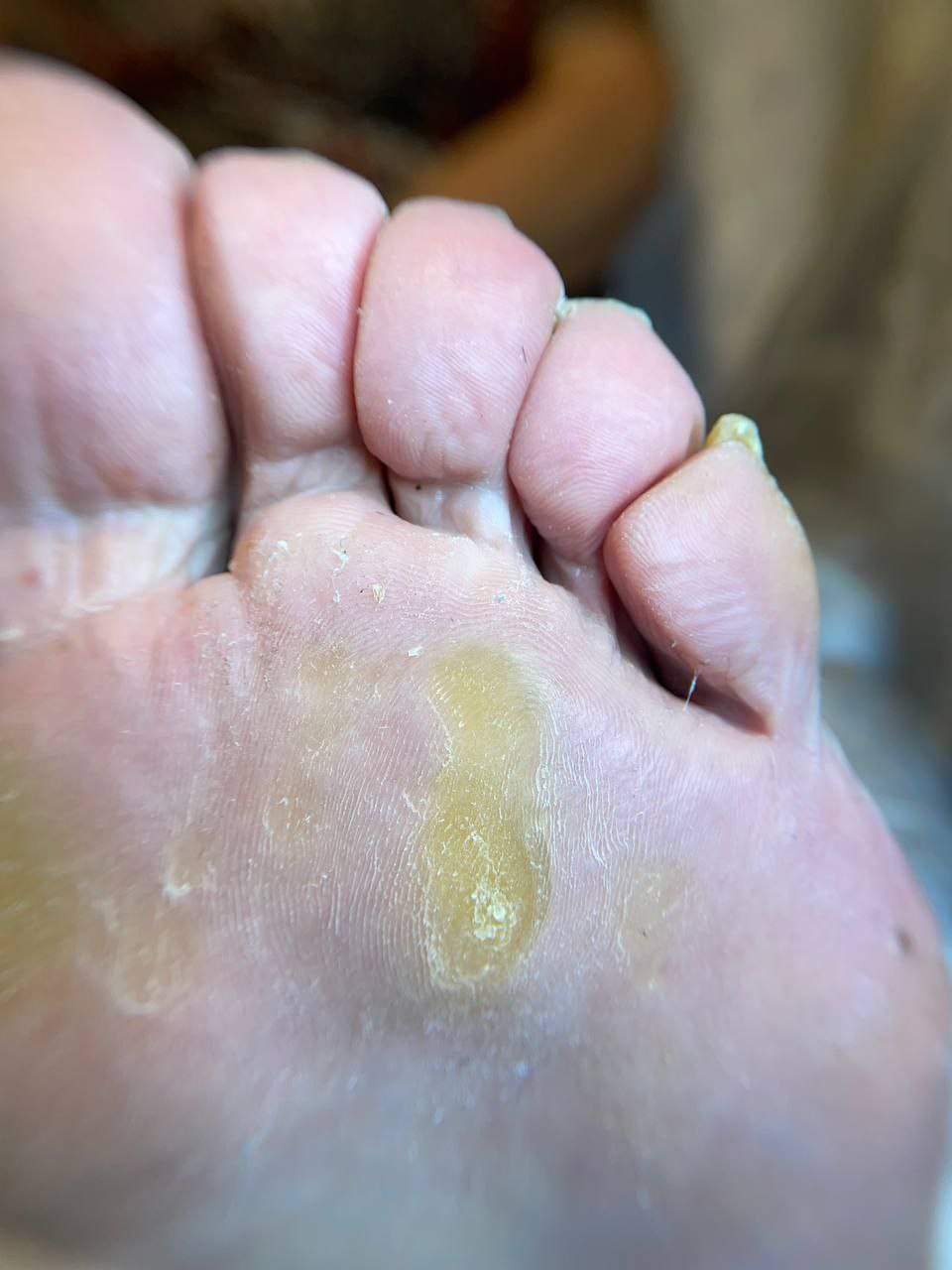 photo_2024-12-16_20-48-47 (2)