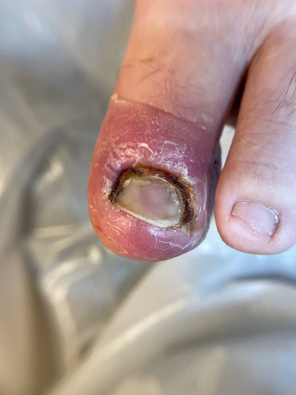 photo_2025-01-07_21-15-30